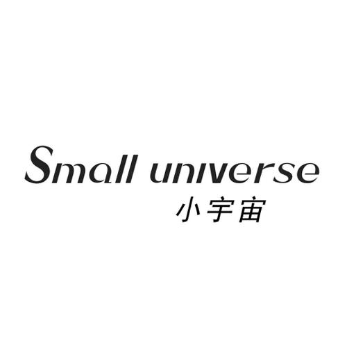 小宇宙SMALLUNIVERSE