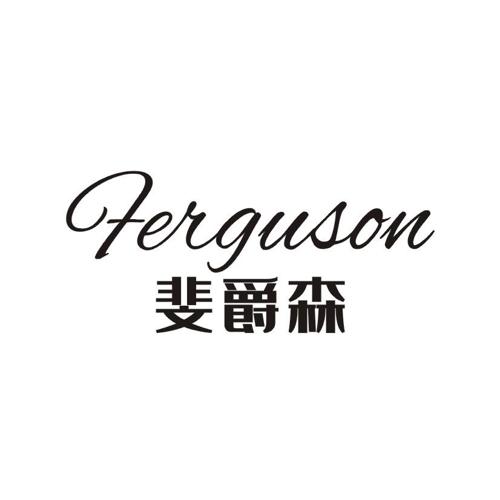 斐爵森FEIGUSON