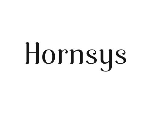 HORNSYS