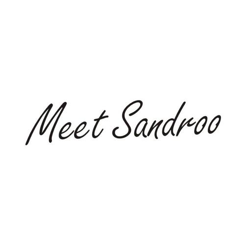 MEETSANDROO