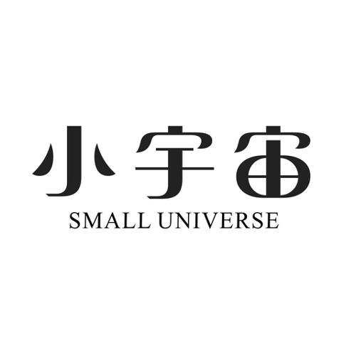 小宇宙SMALLUNIVERSE