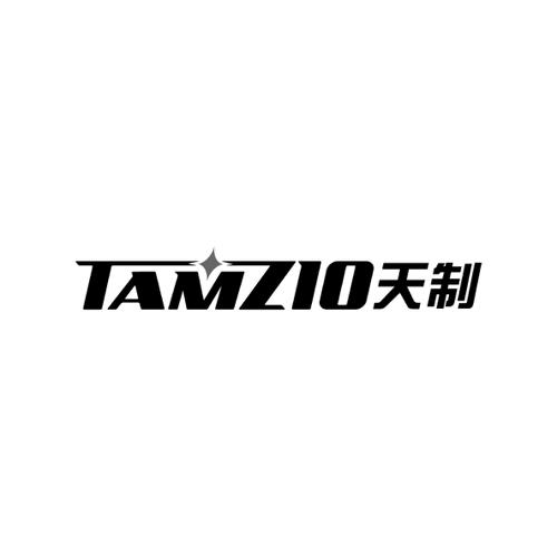 天制TAMZIO