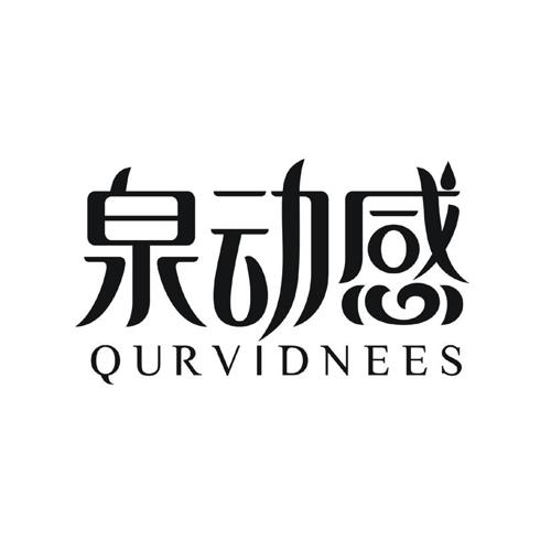 泉动感QURVIDNEES