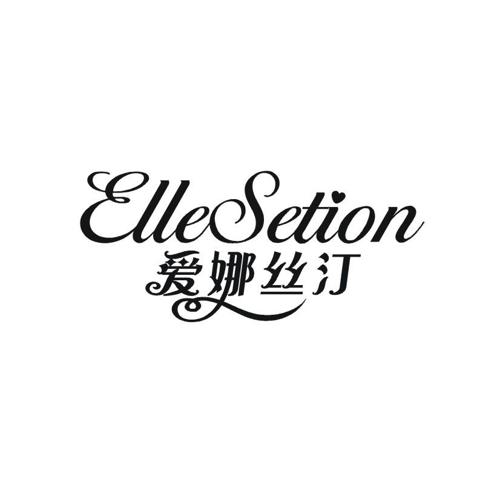 爱娜丝汀ELLESETION