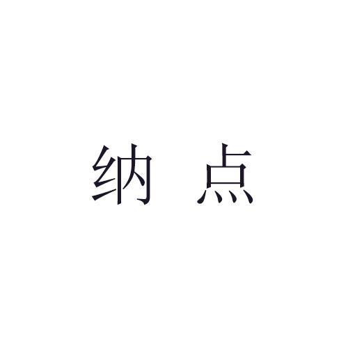 纳点