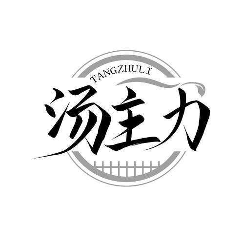 汤主力