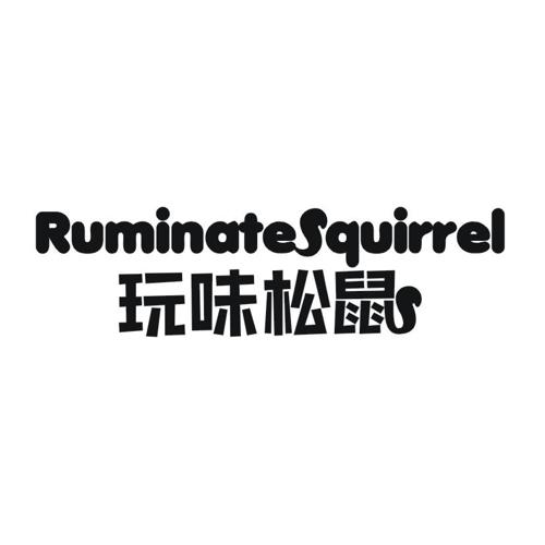 玩味松鼠RUMINATESQUIRREL