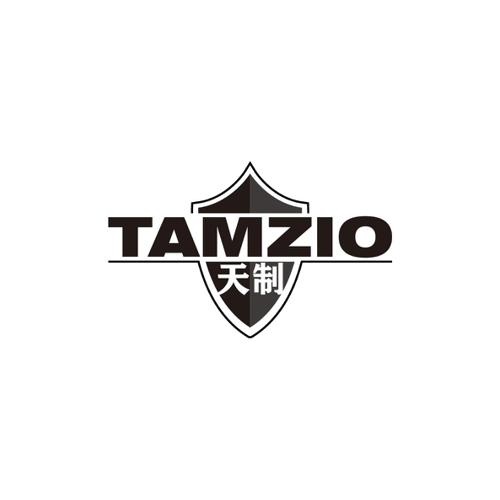 天制TAMZIO