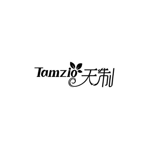 天制TAMZIO