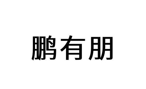 第类商标-鹏有朋