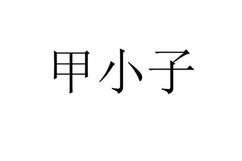 甲小子