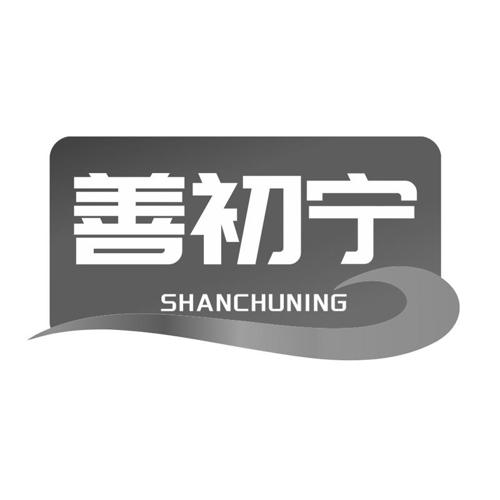 善初宁