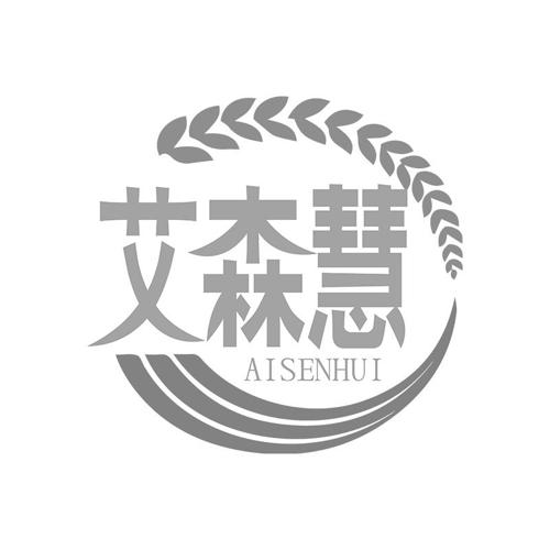 艾森慧