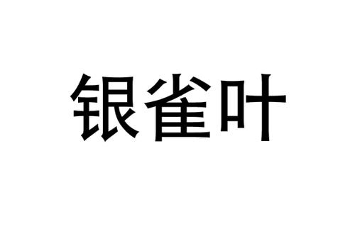 银雀叶